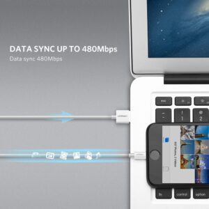 UGREEN 20728 LIGHTNING USB SYNC & CHARGING CABLE 1M